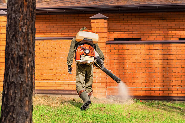 Top rated local Wasp Removal specialists in Midland Park, NJ
